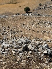 Red Trail on Pizzo Carbonara, the highest peak of Piano Battaglia, featuring panoramic mountain landscapes, rugged peaks, and scenic vistas in the Madonie Mountains, Sicily, Italy Carbonara mountain