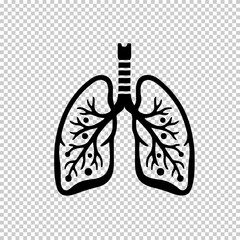 Human lung flat vector icon isolated on transparent background