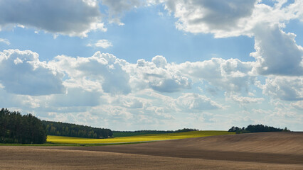 Obraz premium an empty, clean agricultural field, the concepts of eco-farming and organic farming. Clouds over a plowed field.