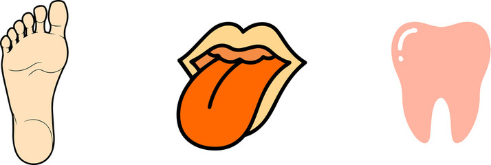 Human Body Parts Icons – Foot, Tongue, Tooth Illustration Set, png