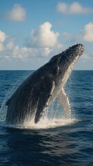 Majestic whale breaching ocean surface.