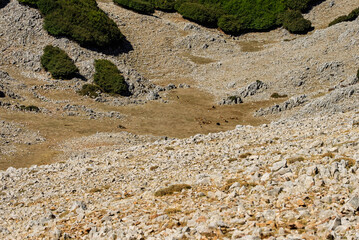 Red Trail on Pizzo Carbonara, the highest peak of Piano Battaglia, featuring panoramic mountain landscapes, rugged peaks, and scenic vistas in the Madonie Mountains, Sicily, Italy Carbonara mountain