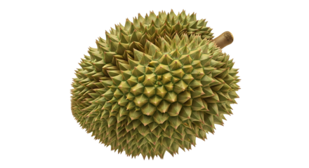 Whole Durian Fruit Close-Up, Food Subject, Studio Isolated, Transparent View, Exotic Concept