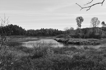 Marais Kingsbury 10 Octobre 2025 