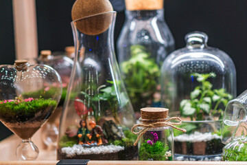 Arrangement of glass bottles with assorted plant potions on a textured surface, varying shapes and sizes, natural colors contrasting against clear glass, soft shadows, indoor still life photography