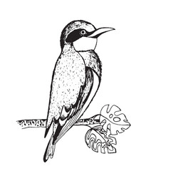 Coloring book happy birds for kids. Funny birds, flowers, leaves and berries. Flat vector illustration with cartoon bird silhouette. Cute characters. Minimalist poster design.
