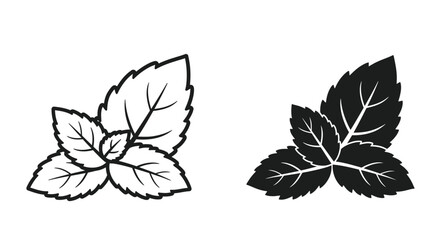 Two mint leaf illustrations one light and one dark in tone © mst