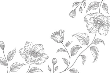 Delicate floral branches and blossoms, detailed line drawing, elegant botanical illustration, natural beauty.