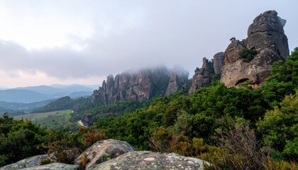 Rocky mountains and pine forest, scenic nature landscape of Bulgaria. Mist, wild hills, travel background, untouched valley, natural beauty, panoramic outdoor, mountain adventure, hiking area.