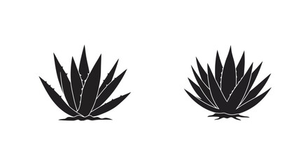Two stylized agave plants depicted in a minimalist black and white design