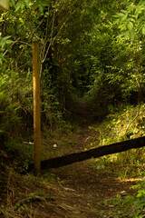 Rural space with trails and houses in the background.