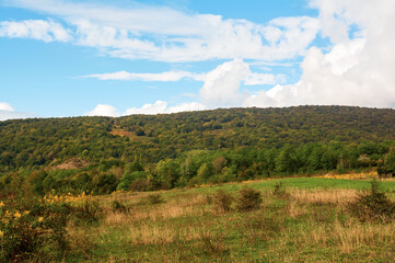 Autumn Mountain Landscape with Green Fields and Grassy Foothills