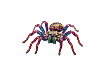 Tarantula detailed artwork isolated on transparent background