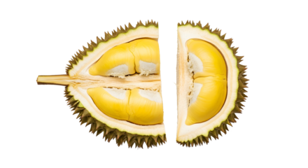 Whole and Halved Durian Fruit, Food, Studio, Isolated, Top View, Exotic Concept with data(82)_transparent.png Reference