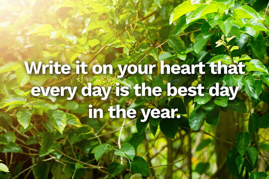 Inspirational life quote on blurry background.  Write it on your heart that everyday is the best day of the year.