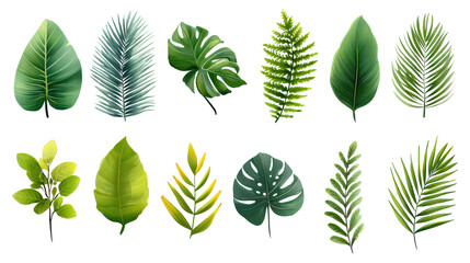 Obraz premium Set of tropical leaves and palm fronds