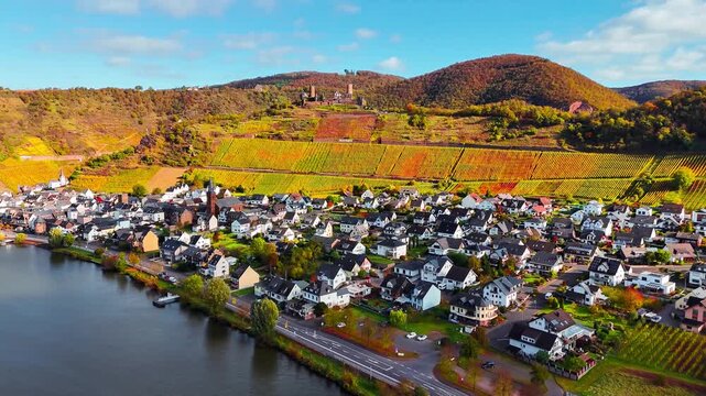 Aerial drone view of wine region of the Mosel Valley in autumn. Wine tourism Turant Castle, Rhineland-Palatinate, Germany . High quality 4k footage