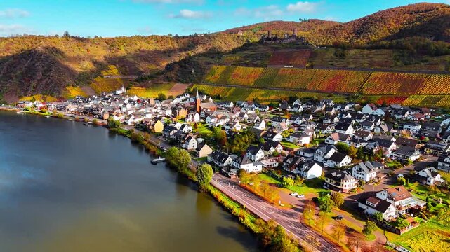 Aerial drone view of wine region of the Mosel Valley in autumn. Wine tourism Turant Castle, Rhineland-Palatinate, Germany . High quality 4k footage