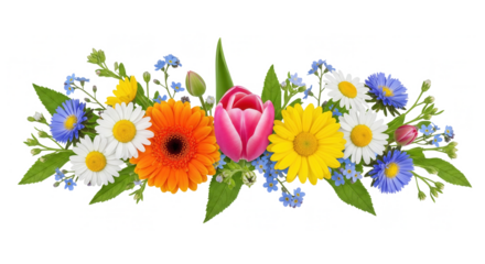 Colorful wildflower bouquet border with daisies, gerbera, rose and greenery, horizontal floral garland, isolated PNG on transparent background