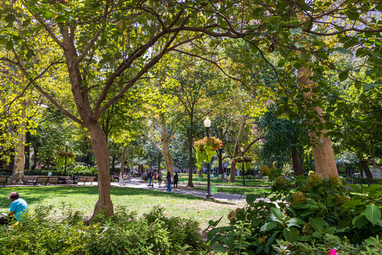 lush green trees and people at Rittenhouse Square in Philadelphia Pennsylvania USA