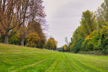 Autumn Park Path with Colorful Trees and Green Grass under Cloudy Sky