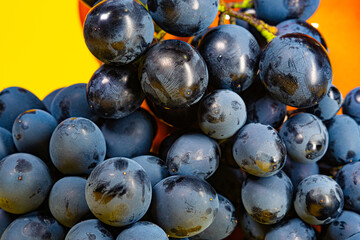 Grapes in a jug — cozy still life