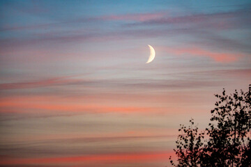 Księżyc w kształcie rogala na pastelowym różowo niebieskim niebie. © LiliEss