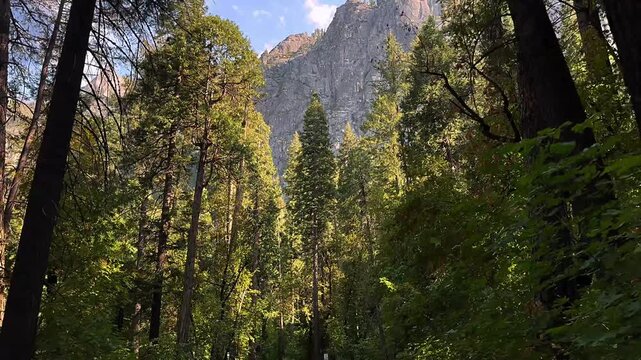 driving through yosemite national park, gorgeous views of mountains, breathtaking outdoor scenery, stunning california landscapes, iconic yosemite landmarks, scenic mountain drives, serene nature expe