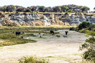 Tarangire national park