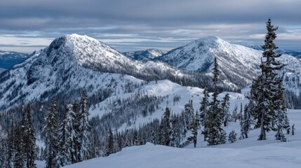 Fototapeta premium Snowy Mountain Peaks Landscape with Fir Trees Under Cloudy Sky, Winter Wilderness Scenery