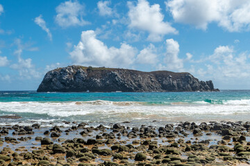 Fernando de Noronha, Brazil. View of beautiful empty sandy beach with plants in the foreground