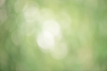 Obraz premium Abstract defocus light natural green background. Defocus light green, bokeh.
