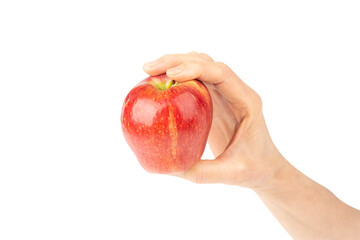 Hand holding red apple