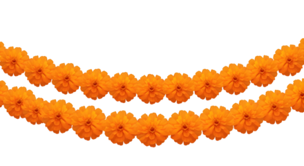 Double-layered marigold flower garland PNG on transparent background, ideal for Day of the Dead, Hindu festivals, Diwali, temple decor, and spiritual celebrations.