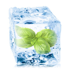 Fresh basil leaves inside ice cube on white background