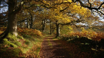 Fototapeta premium Serene Autumn Pathway Through Vibrant Yellow and Orange Foliage