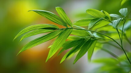 Obraz premium Lush Green Leaves with Delicate Veins in Soft Natural Light