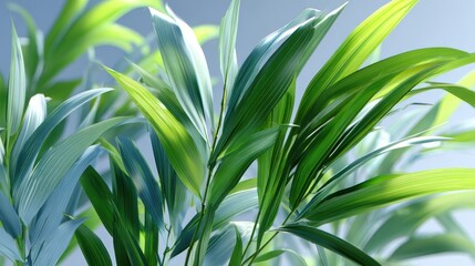 Fototapeta premium Lush Green Leaves with Light Background and Nature Vibes