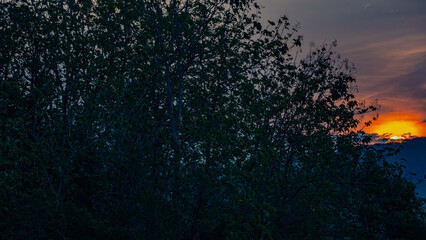 the sun sets very deep behind the teak forest in Banjarharjo, Brebes Regency, Central Java, Indonesia