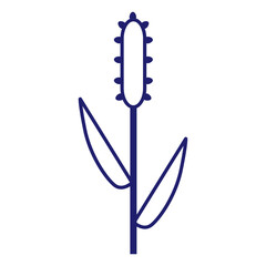 Cereals doodle illustration  icon - pearl millet, agriculture, wheat, barley, rice, maize, timothy grass, buckwheat, proso, sorghum. Thin line art about grain plants. Editable Stroke Wheat ear icon. l