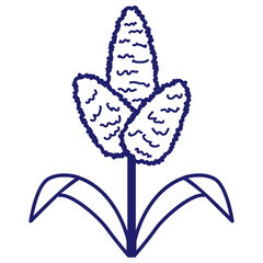 Cereals doodle illustration  icon - pearl millet, agriculture, wheat, barley, rice, maize, timothy grass, buckwheat, proso, sorghum. Thin line art about grain plants. Editable Stroke Wheat ear icon. l