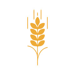 wheat ears isolated on white background