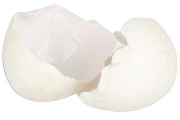Broken duck eggshell on white background