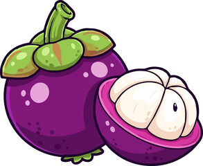  Illustration of Mangosteen and Cross Section