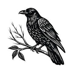 Raven Bird on Branch Illustration in Black and White