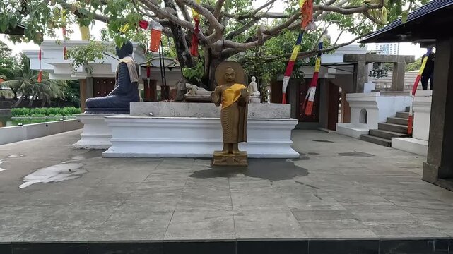 Buddha Statue under Boo Tree, Gangarama Temple, Sri Lanka