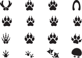 Fototapeta premium Footprints in the wild: A collection of diverse animal tracks, revealing the hidden paths and stories of the wilderness.