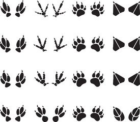 Fototapeta premium Diverse Animal Track Marks: A collection of animal track marks presents various footstep designs, representing diverse species. Featuring the unique prints left by various animals in nature. 