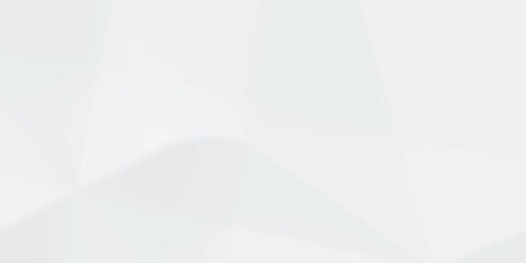 Abstract white paper crumpled panorama white paper texture background, crumpled pattern texture fabric scrapbook...
