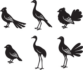 Obraz premium Diverse Bird Silhouettes: A striking composition of diverse bird silhouettes showcasing the elegance and variety found in the avian world.